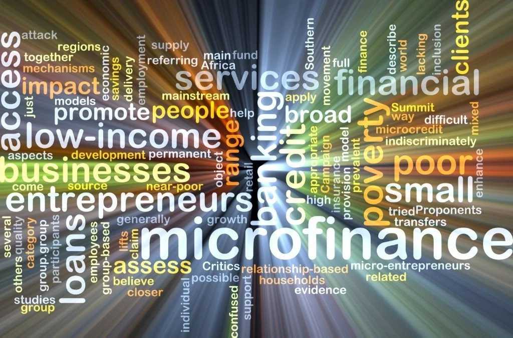 Microfinance Business Model